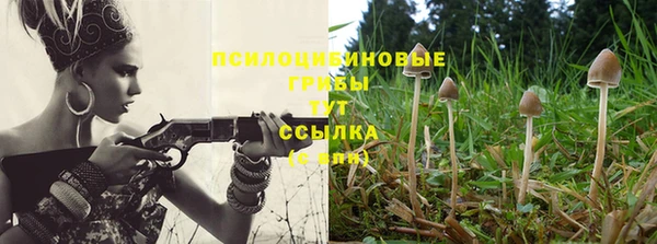 винт Усмань